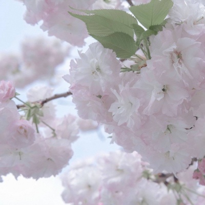 Furry绘画构图指南兽圈群